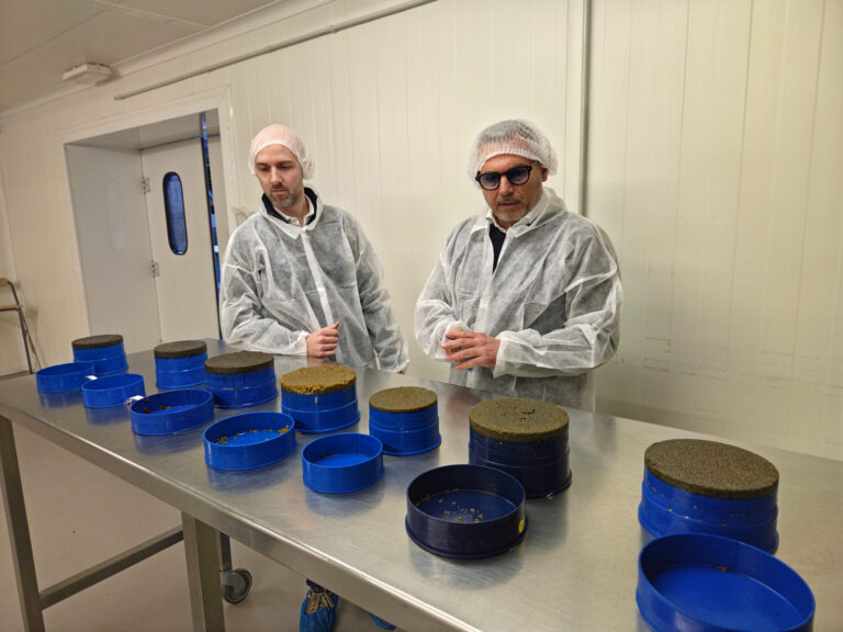 Le jour où Shah Darya est né